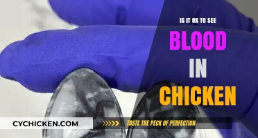 Is Blood in Chicken Safe? Understanding Raw Poultry Concerns