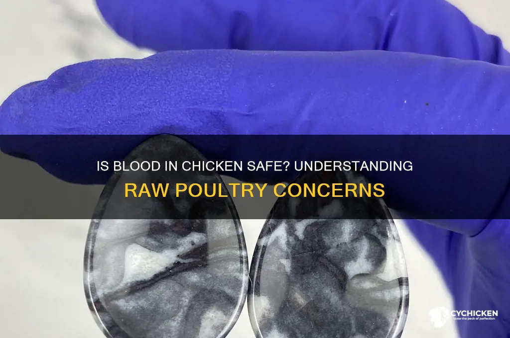 is it ok to see blood in chicken