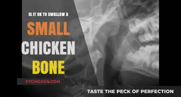 Swallowing Chicken Bones: What You Need to Know