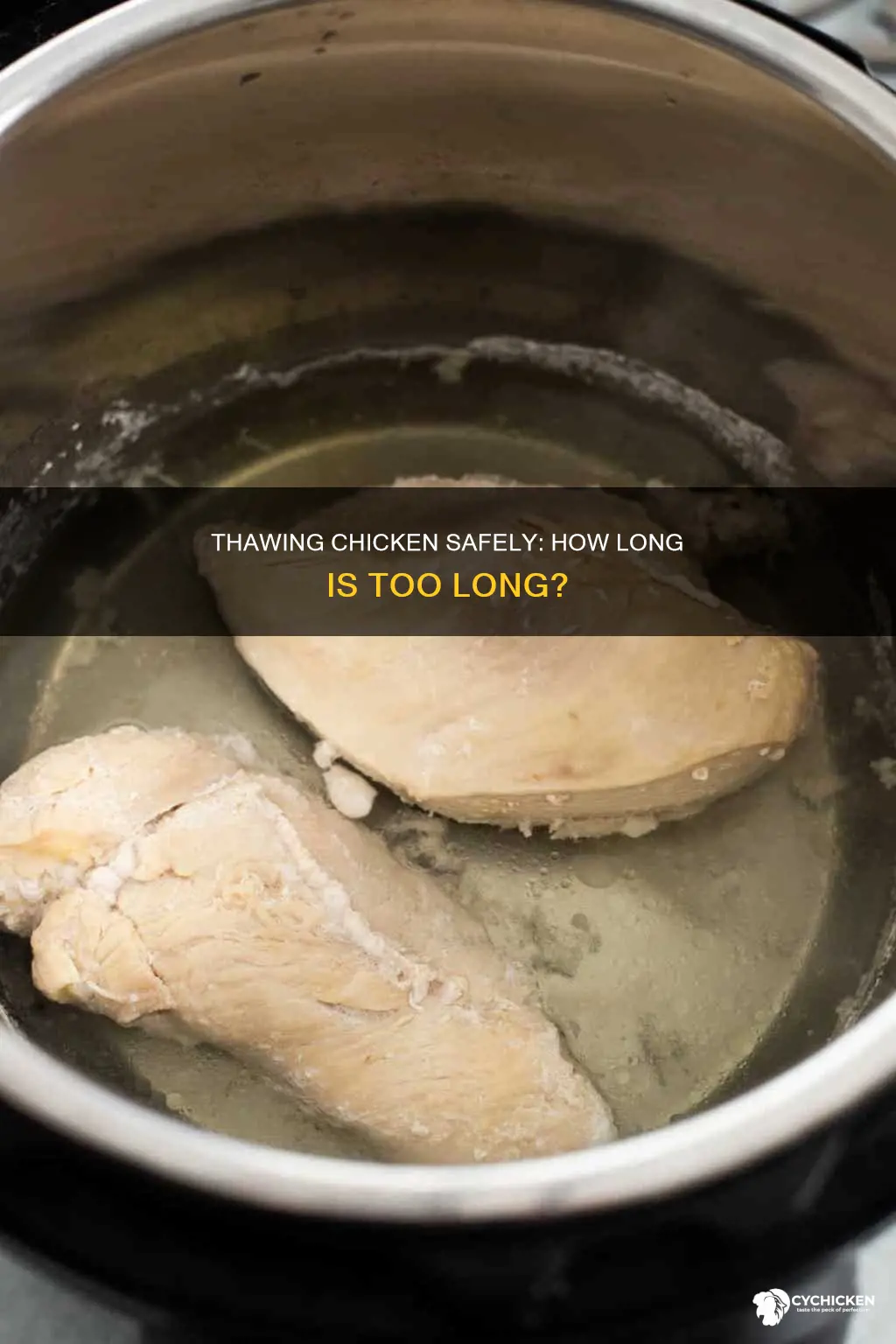 is it ok to thaw chicken for two days