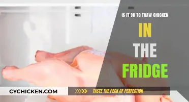 Thawing Chicken: Is the Fridge Safe?