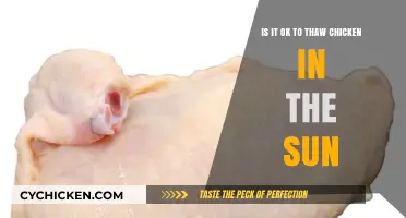 Thawing Chicken in the Sun: Safe or Not?