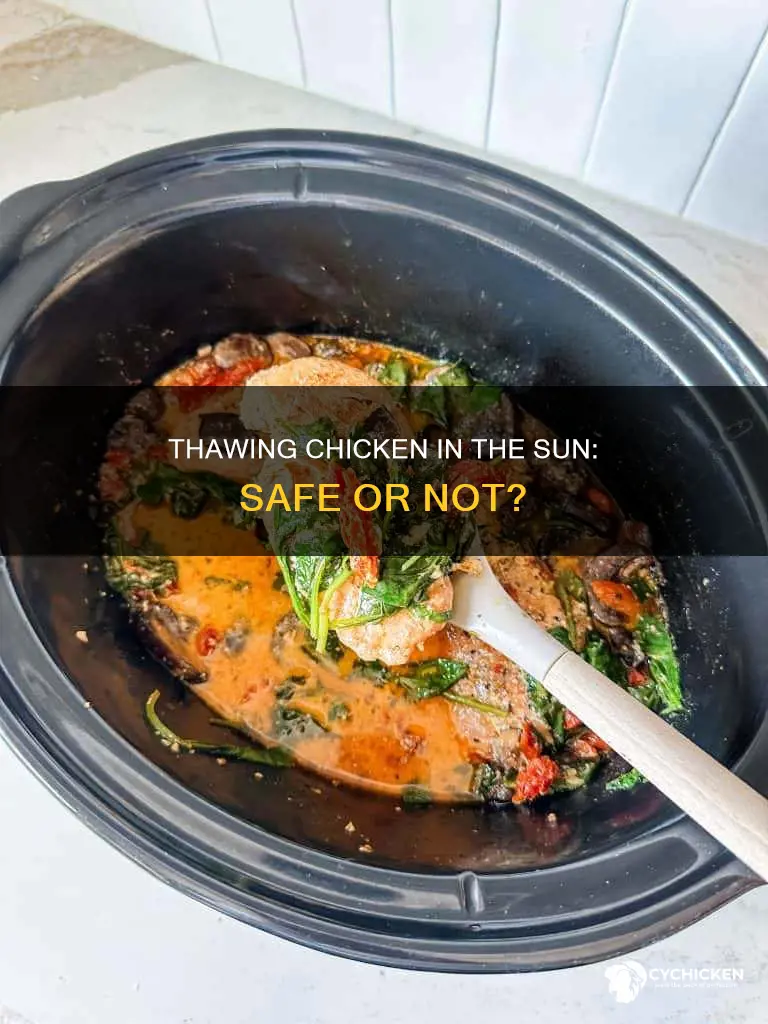 is it ok to thaw chicken in the sun