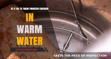 Thawing Chicken Safely: Warm Water or Not?