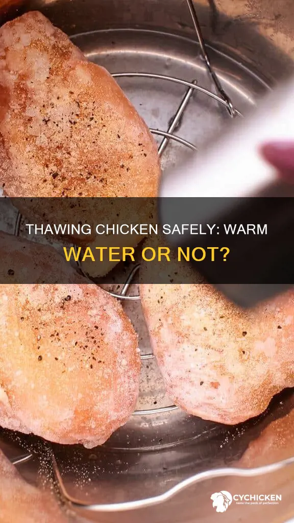 is it ok to thaw fronzen chicken in warm water
