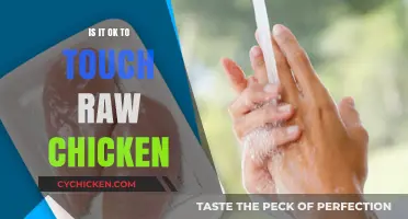 Is Touching Raw Chicken Safe? Hygiene Tips and Risks Explained