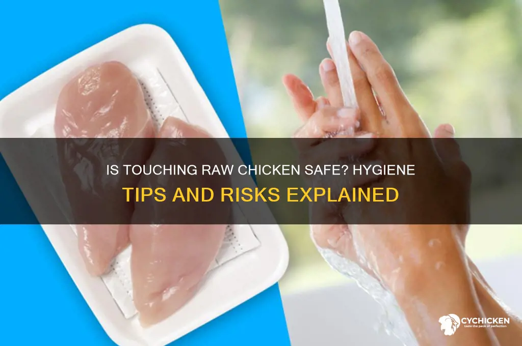 is it ok to touch raw chicken