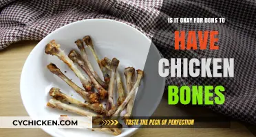 Are Chicken Bones Safe for Your Dog?