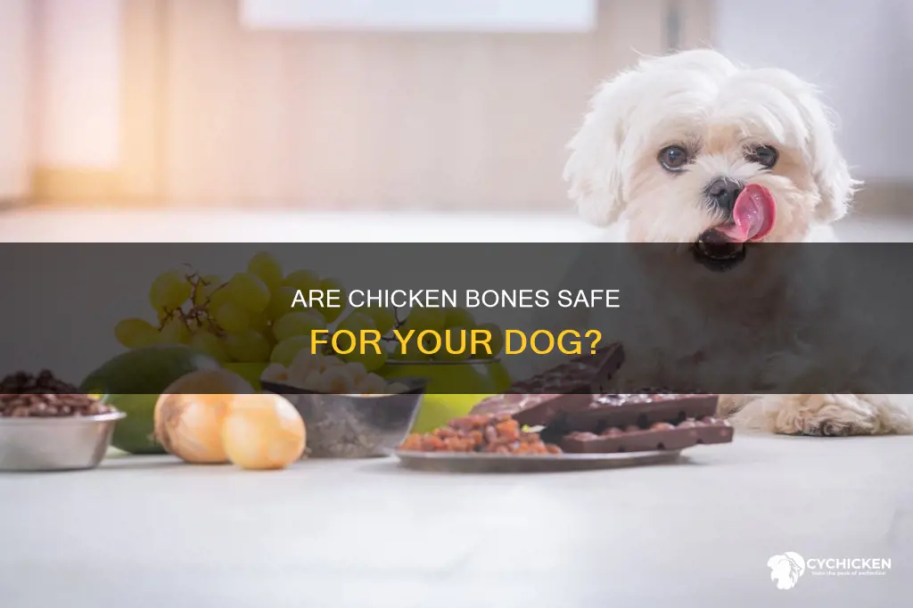 is it okay for dohs to have chicken bones
