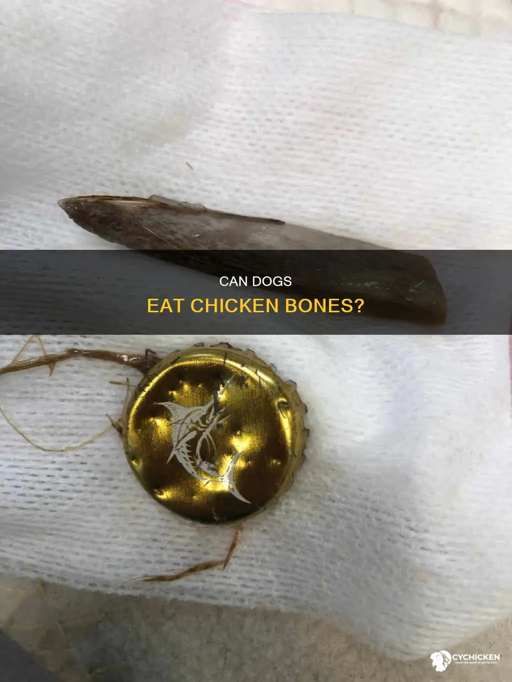 is it okay if my dog ate a chicken bone