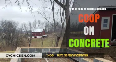 Building a Chicken Coop on Concrete: Pros, Cons, and Considerations