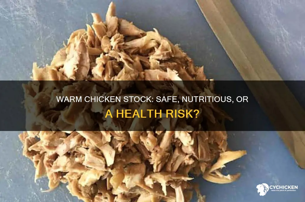 is it okay to drink warm chicken stock