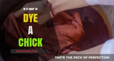 Dyeing Chicks: Ethical Concerns and Alternatives for Colorful Celebrations
