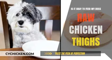 Raw Chicken Thighs for Dogs: Safe or Risky Choice?