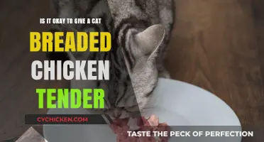 Is Feeding Cats Breaded Chicken Tenders Safe?