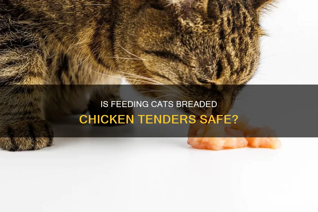 is it okay to give a cat breaded chicken tender