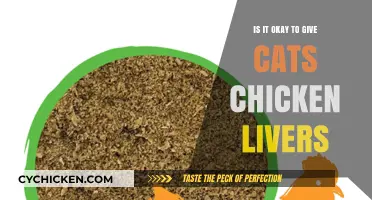 Can Cats Eat Chicken Livers? Benefits, Risks, and Serving Tips