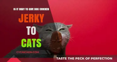 Can Cats Eat Dog Chicken Jerky?