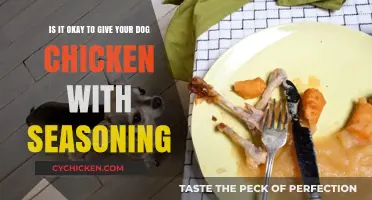 Should You Share Seasoned Chicken with Your Dog?
