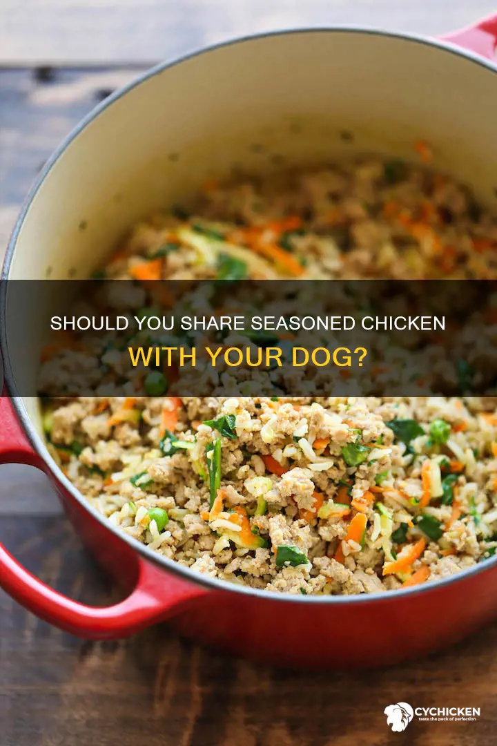 is it okay to give your dog chicken with seasoning