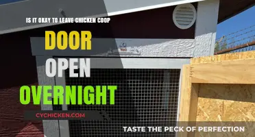 Should You Leave Your Chicken Coop Door Open Overnight?