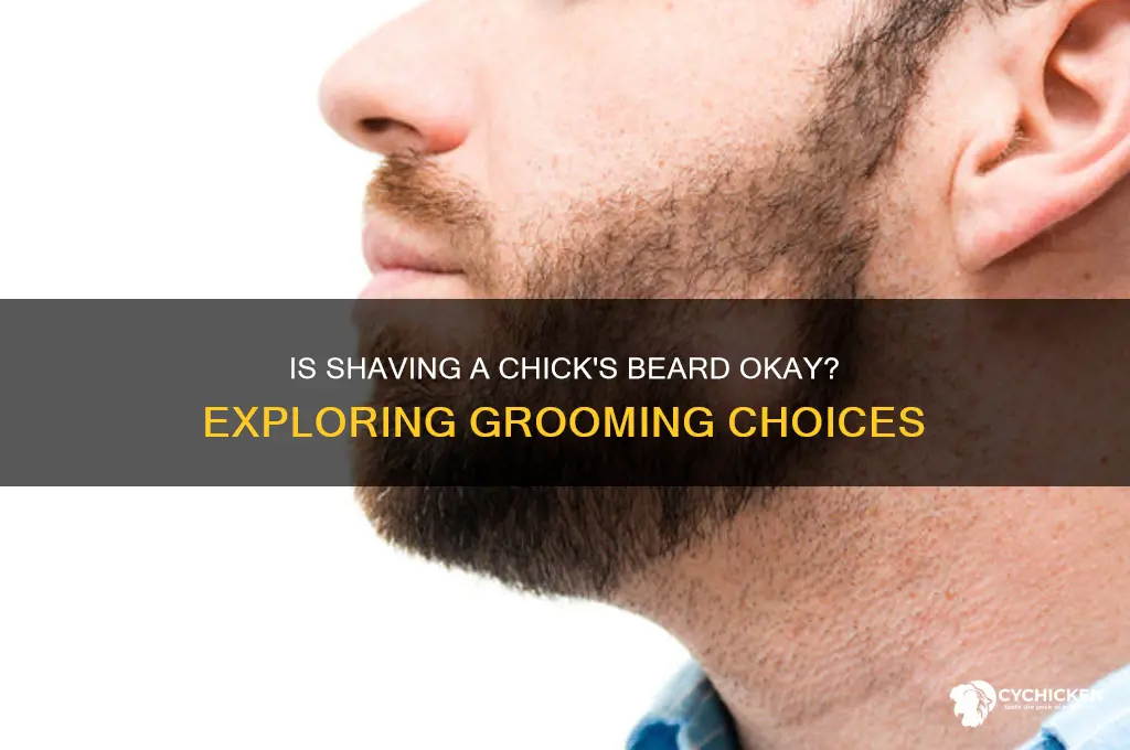 is it okay to shave chick beard
