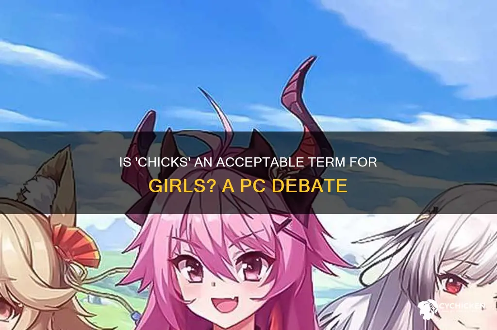 is it pc to call girls chicks