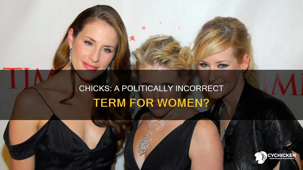 is it pc to refer to women as chicks