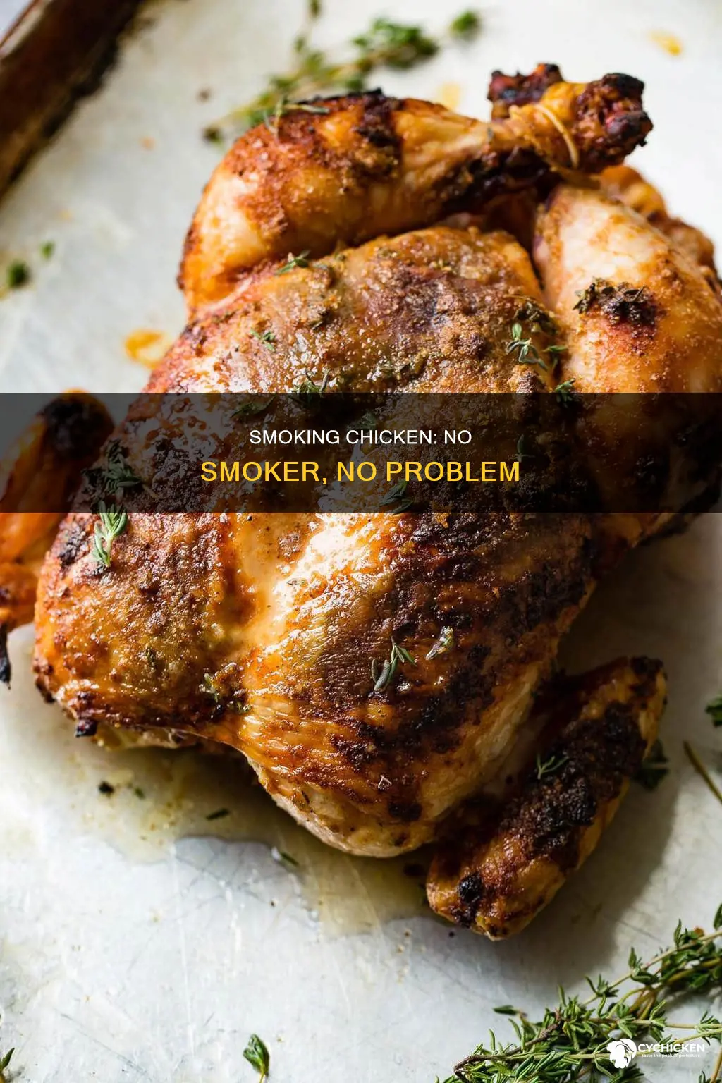 is it posisble to smoke chicken without a smoker