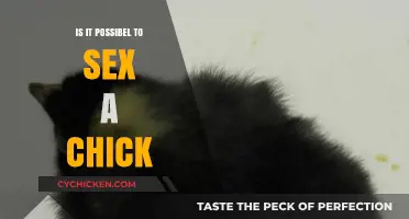 Can You Determine a Chick's Sex? Exploring the Possibility