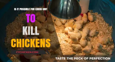 Chick Grit: A Lethal Treat for Chickens?