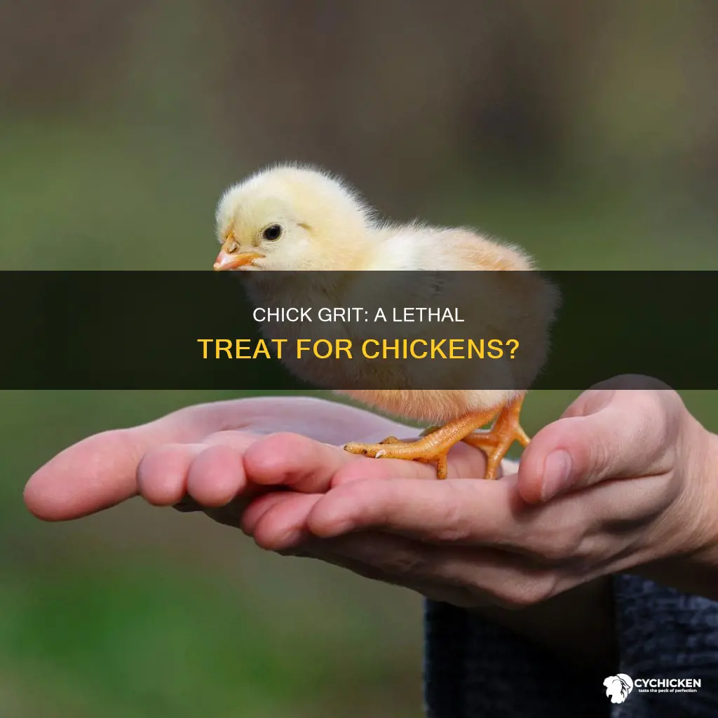 is it possible for chick grit to kill chickens