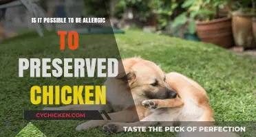 Preserved Chicken Allergies: What You Need to Know
