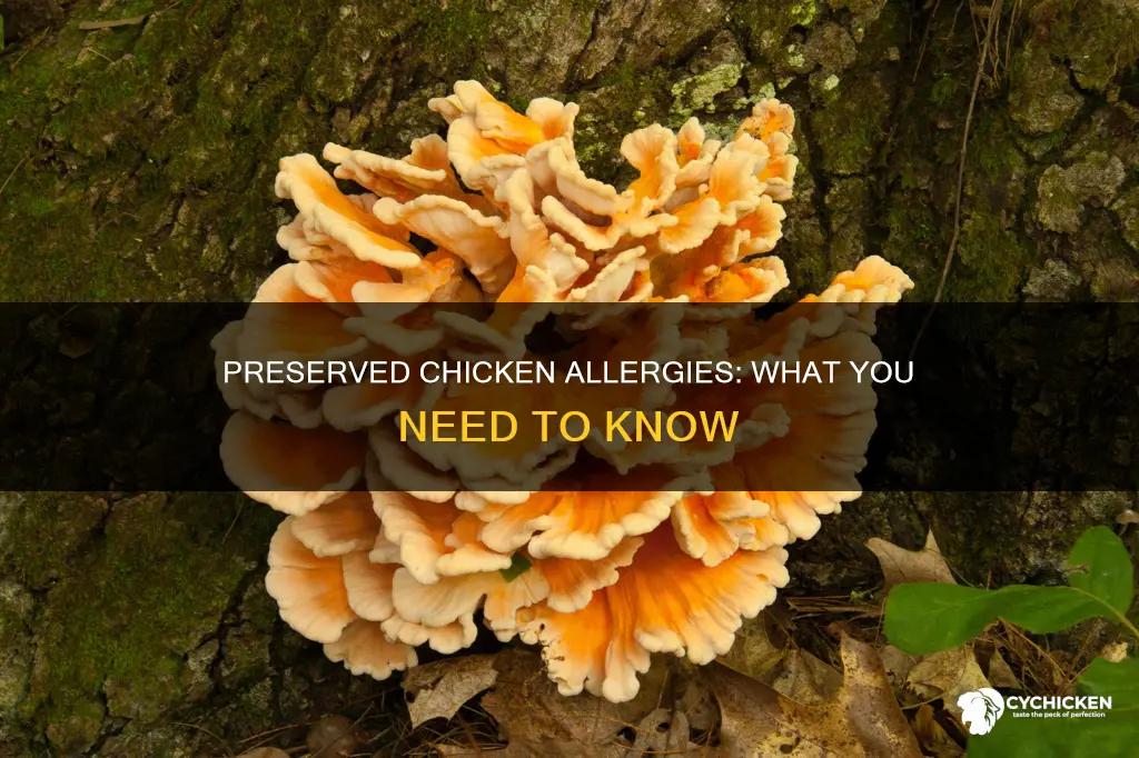 is it possible to be allergic to preserved chicken