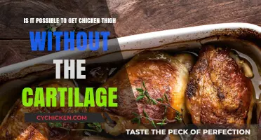 Can You Buy Chicken Thighs Without Cartilage? A Buyer's Guide