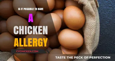 Can You Be Allergic to Chicken? Uncovering the Truth About Poultry Sensitivities