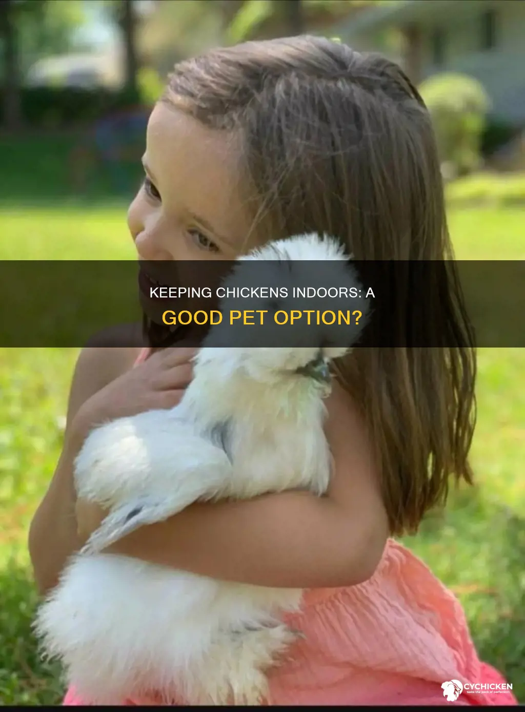 is it possible to have an indoor chicken pet