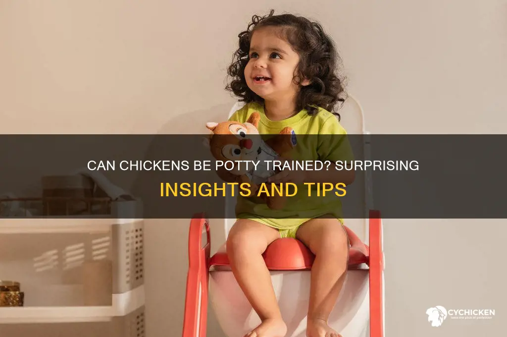 is it possible to potty train a chicken
