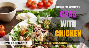 Chicken for Crab Bait: Is It Safe?