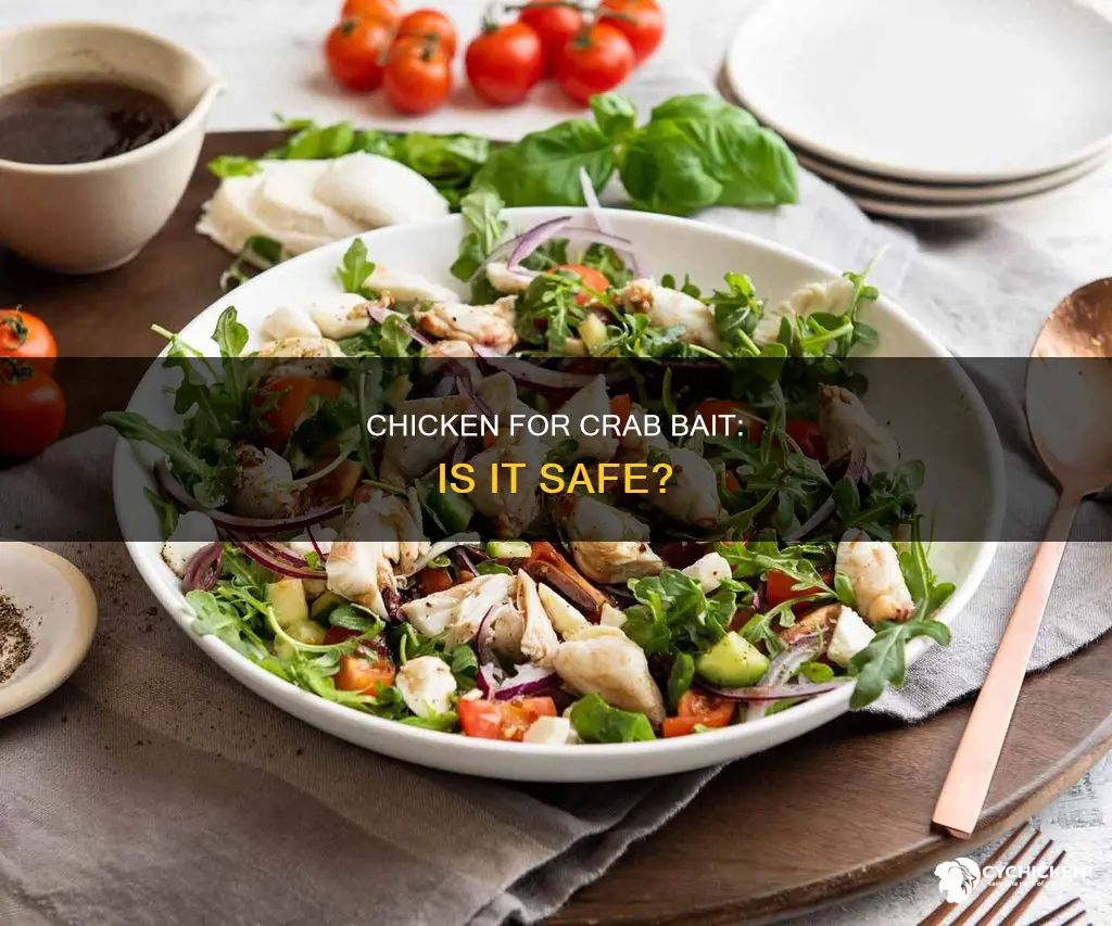 is it safe for bay water to crab with chicken