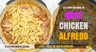 Chicken Alfredo: A Safe Treat for Your Dog?