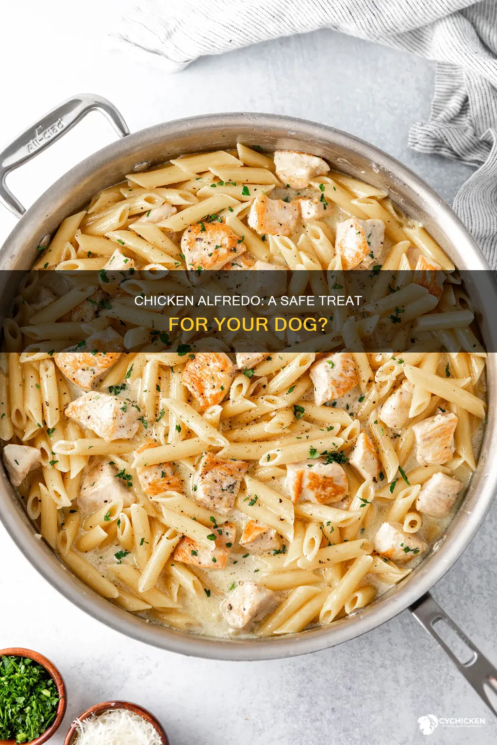 is it safe for dogs to have chicken alfredo