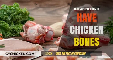 Chicken Bones: Safe or Harmful for Dogs?