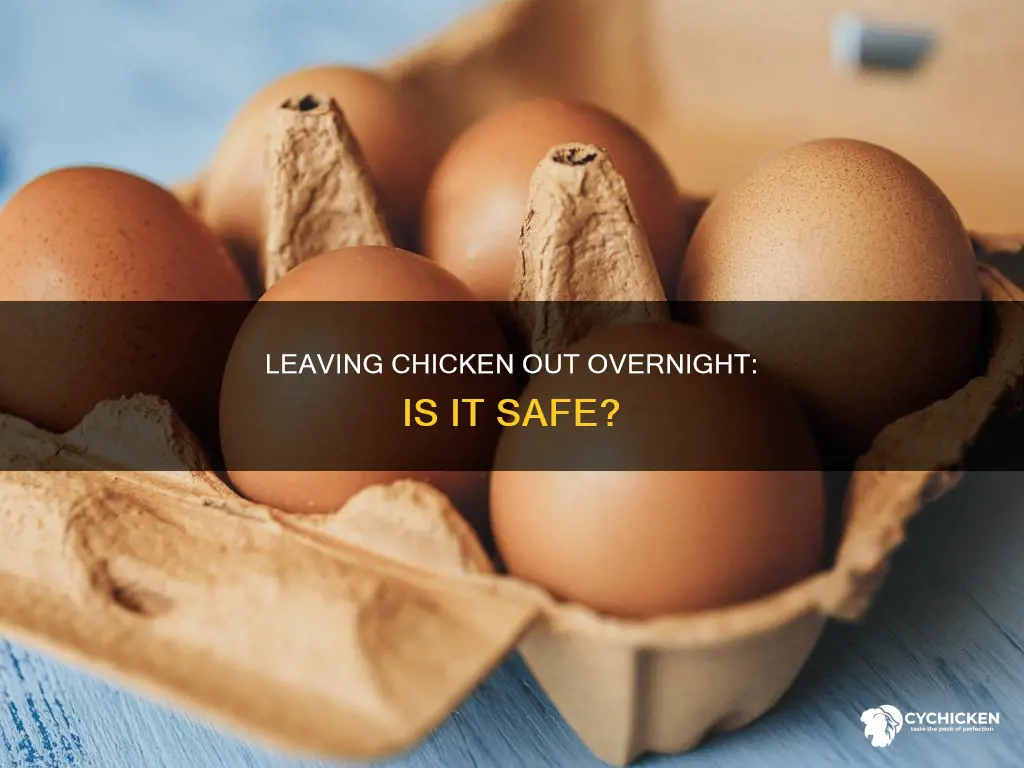 is it safe leaving chicken and rice dish out overnight