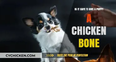 Chicken Bones: Safe or Harmful Treats for Puppies?