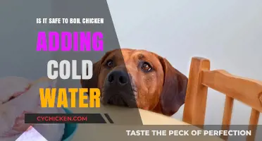 Boiling Chicken: Cold Water Safe?