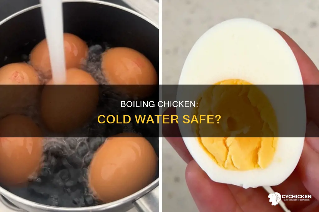 is it safe to boil chicken adding cold water
