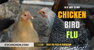 Is It Safe to Buy Chicken During Bird Flu Outbreaks?