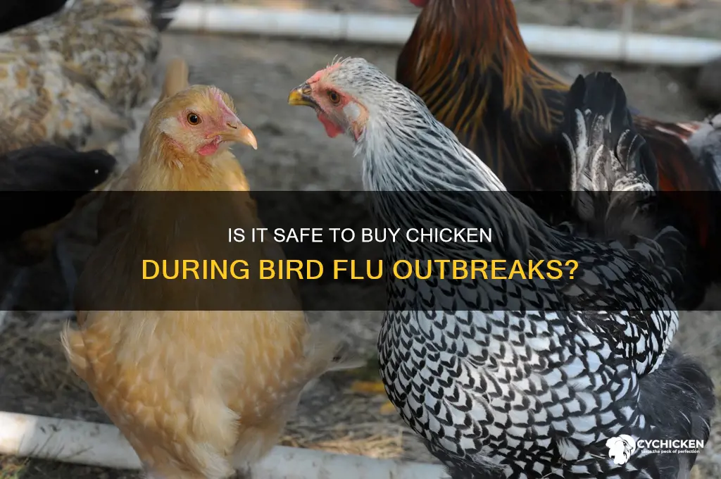is it safe to buy chicken bird flu