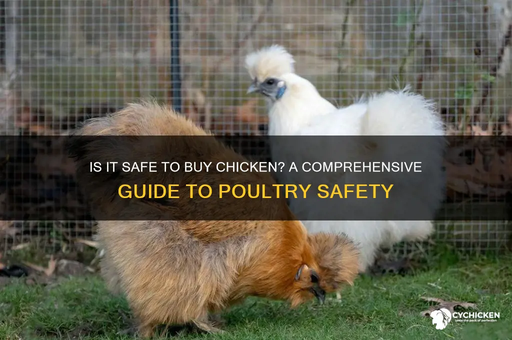 is it safe to buy chicken